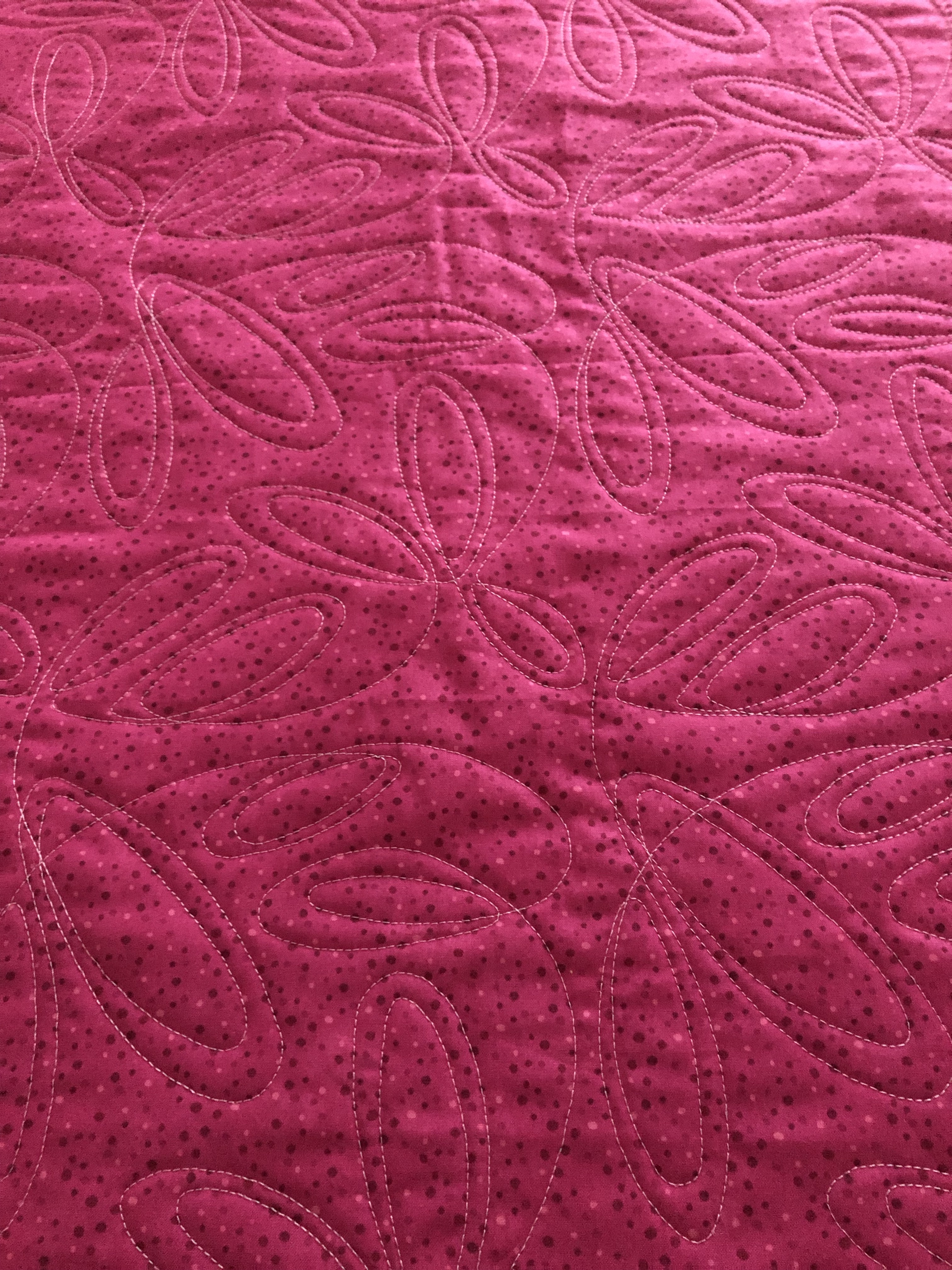 W%rDKkqCSKq+9ED9f4wPNw